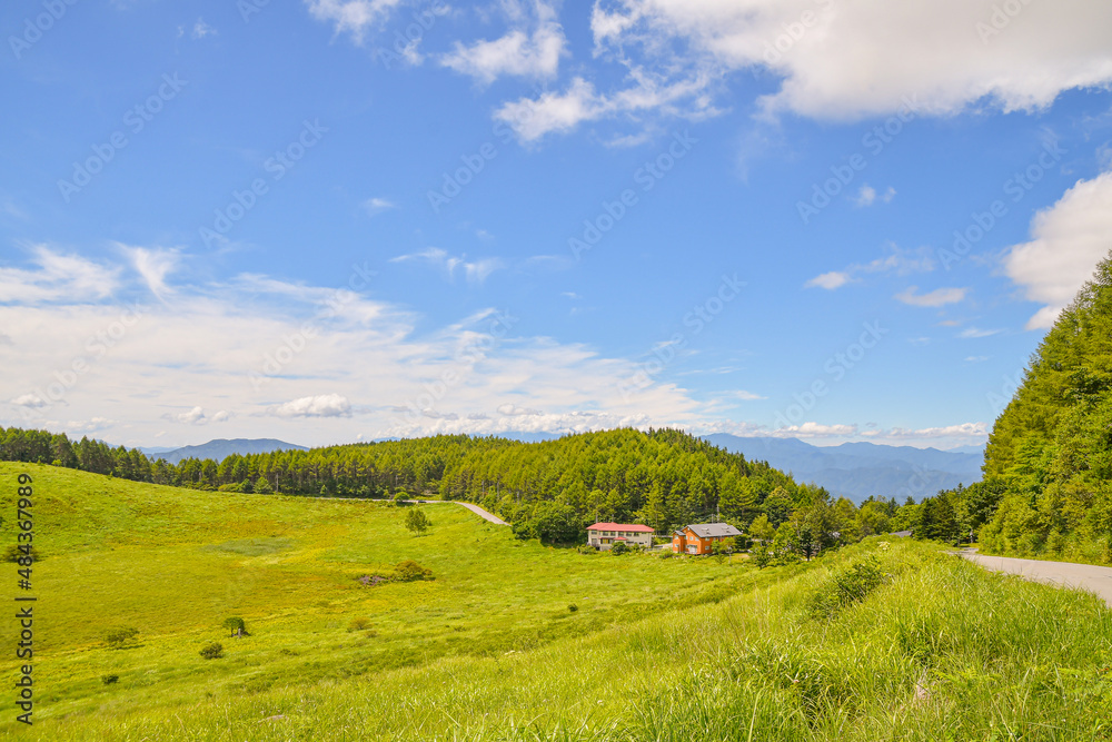 Obraz premium Log cabins sit silently with emerald green meadow in the plateau of Nagano in summer Japan .