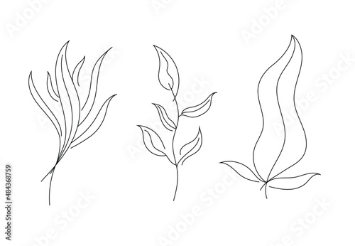 Leaves line design. Hand drawn outline for banner, card. Vector illustration