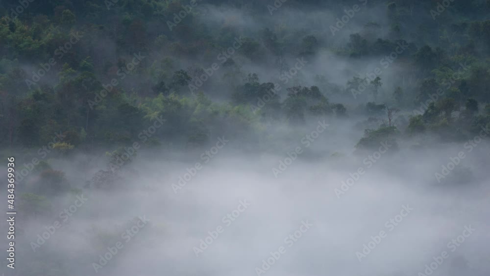 Time lapse 4K Aerial view motion. Rain forest and morning fog, Pang Puai, Mae Moh, Lampang, Thailand. Time lapse 4K Aerial view motion. Rain forest and morning fog, Pang Puai, Mae Moh, Lampang, Thailand.
