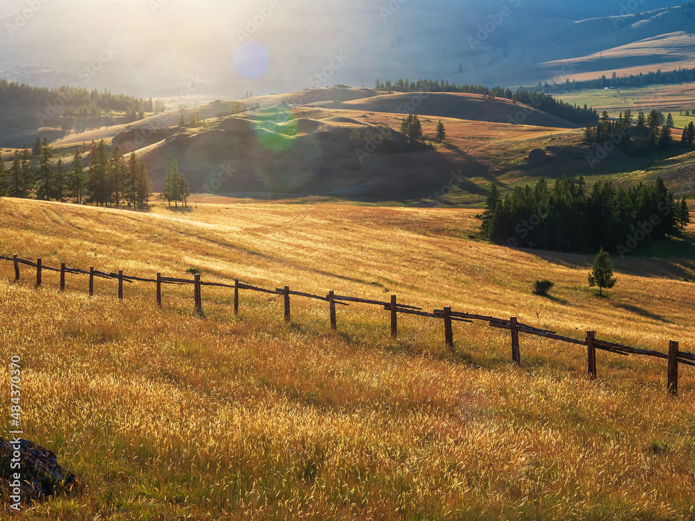 Beautiful sunny landscape with autumn field behind old wood fence. Hill with trees and cracked fence underwires on sunset sky. Vivid scenery with beautiful field and glare of the sun in mountains.