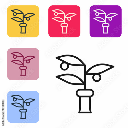 Black line Plant breeding icon isolated on white background. Plants growing in the test tubes. Organic food ,agriculture and hydroponic. Set icons in color square buttons. Vector