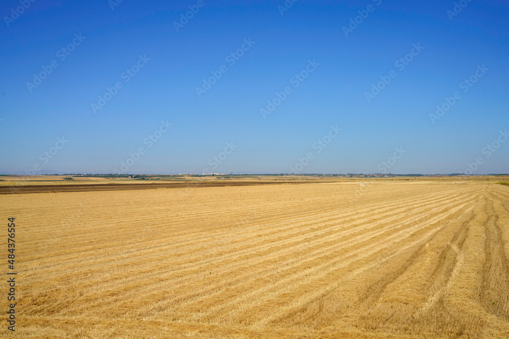Country landscape near Siponto, Apulia, Italy