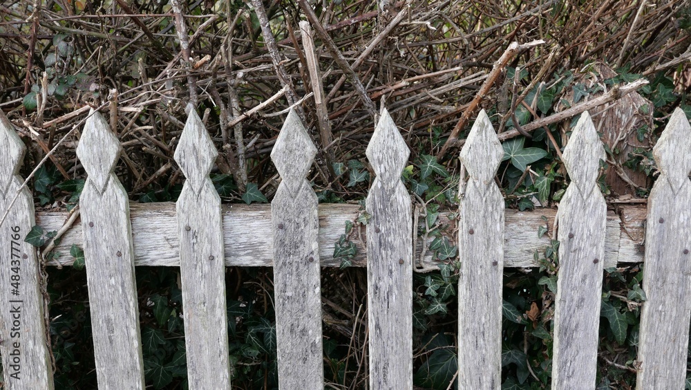 Rough old unpainted wooden fence with foliage and bushes behind