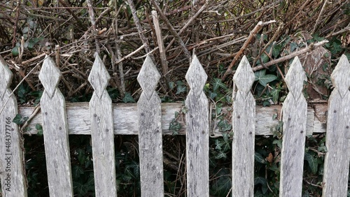 Rough old unpainted wooden fence with foliage and bushes behind