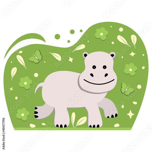 Africa Animal Hippopotamus Nature Zoo Childish