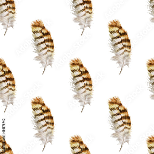 Feathers repeating pattern. Watercolor background with seamless illustration. Watercolour color organic design. Seamless boho texture with hand drawn feathers. Bright colors.