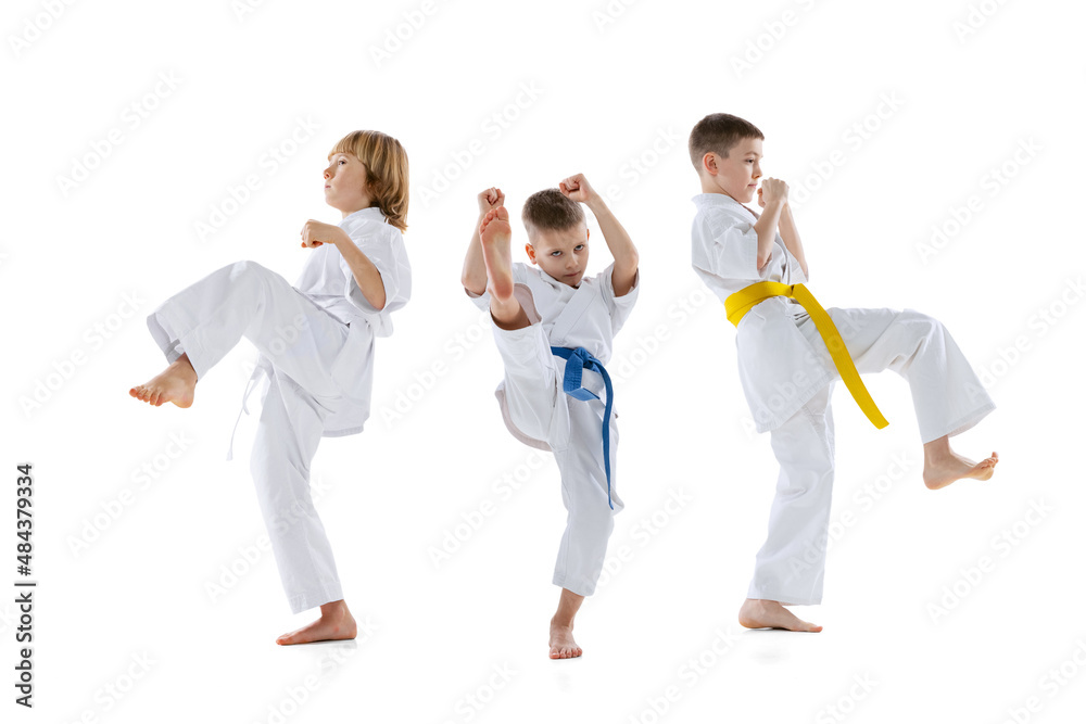 Group of kids, boys, taekwondo athletes wearing doboks training together isolated on white background. Concept of sport, martial arts Group of kids, boys, taekwondo athletes wearing doboks training together isolated on white background. Concept of sport, martial arts