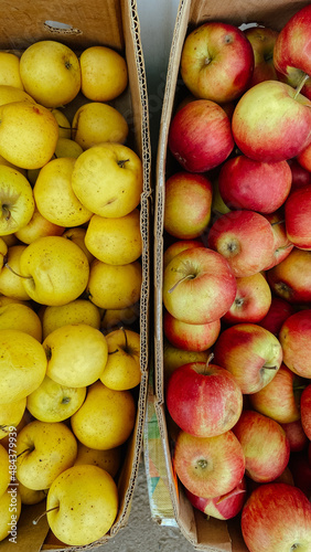 yellow and red apples in a cardboard box