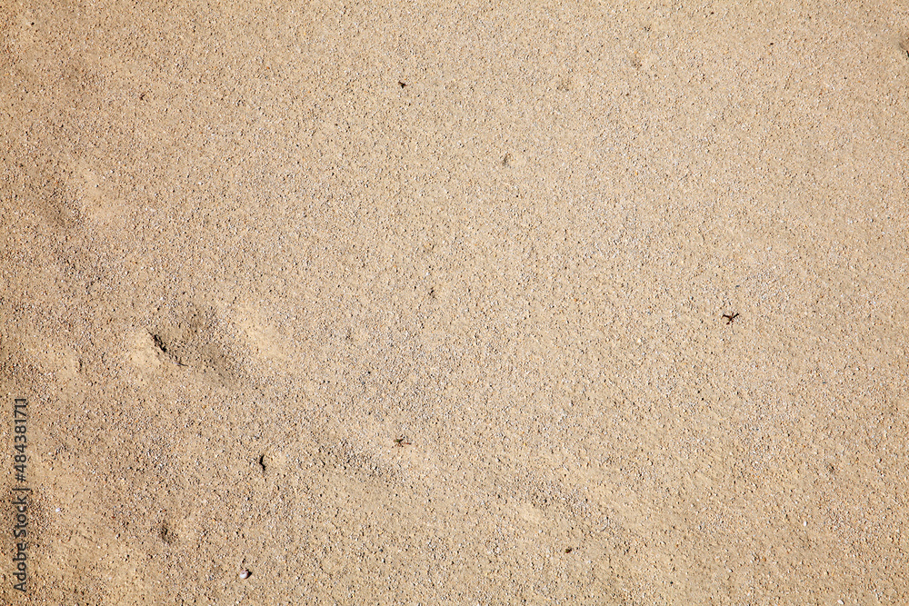 Close up texture background of wet beach sand found on a sandy coastline in summer, stock photo image Close up texture background of wet beach sand found on a sandy coastline in summer, stock photo image