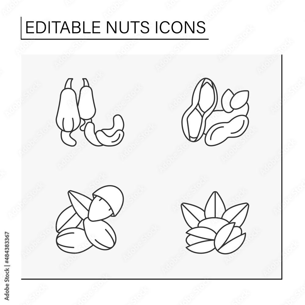 Nuts line icons set. Tasty and healthy snacks. Ingredients for food preparation.Balanced nutrition concept. Isolated vector illustration. Editable stroke Nuts line icons set. Tasty and healthy snacks. Ingredients for food preparation.Balanced nutrition concept. Isolated vector illustration. Editable stroke