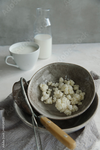 Milk kefir grains in a gray plate with a bottle and a cup of kefir on white table. photo