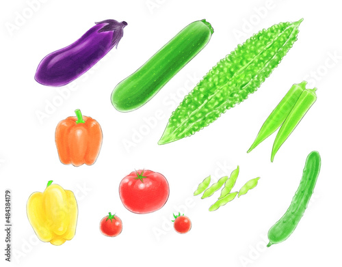 Set of summer vegetables drawn with digital watercolor