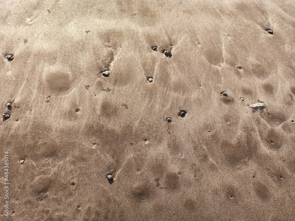 Fototapeta premium sand dunes in the desert
