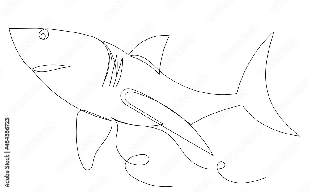 Fototapeta premium shark in one line, outline, vector, isolated