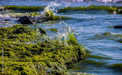 Stones covered with algae on the sandy beach of the sea in the bright sun and small waves