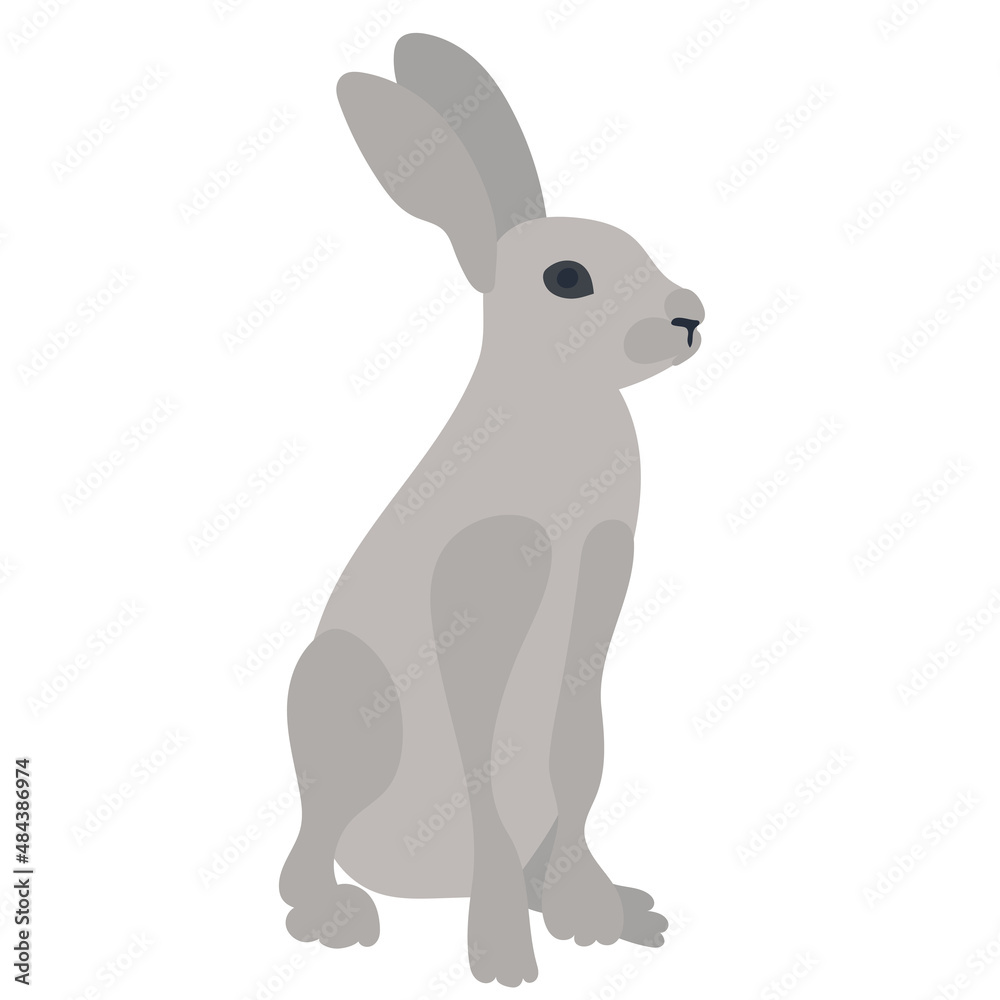 Obraz premium hare, rabbit flat design on white background isolated, vector