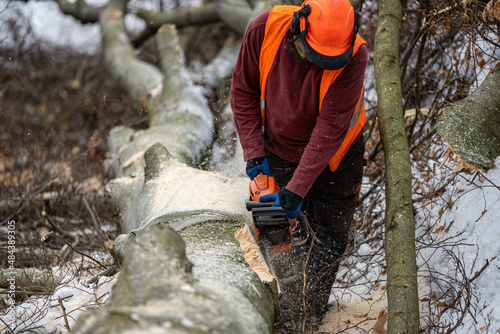 A lumberjack working in the forest in winter. The Carpathian Mountains, Poland.