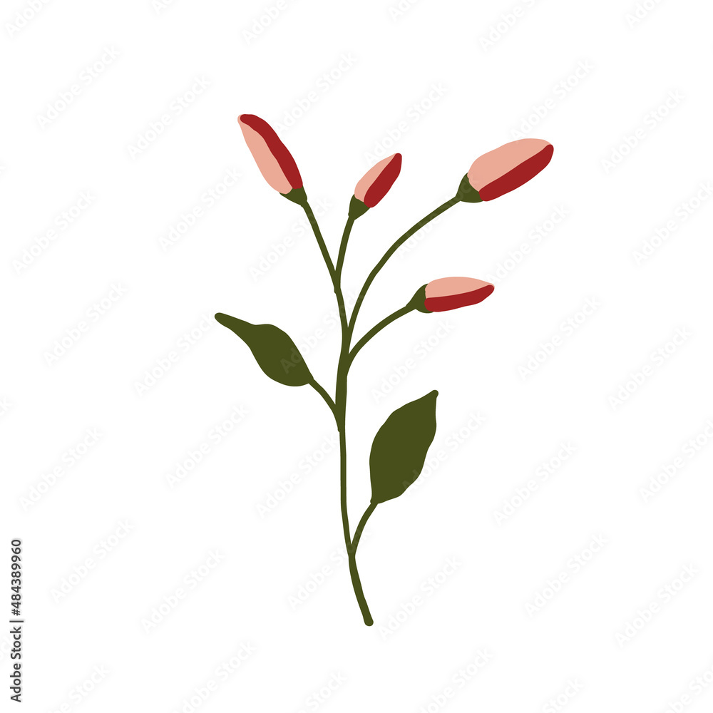 Abstract pink wildflower isolated on white background. Wild flower floral botanical plant. Meadow and field herb. Delicate spring flower illustration in hand drawn flat style