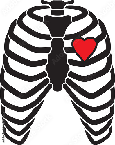 Human Rib Cage Skeleton with Heart Vector Illustration