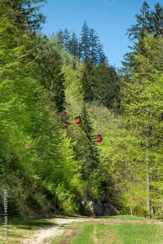 Zwei Rote Gondeln der Katrin Seilbahn in Bad Ischl im Salzkammergut im Wald mit Waldweg
