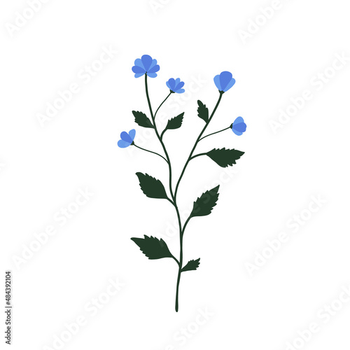 Abstract blue wildflower isolated on white background. Wild flower floral botanical plant. Meadow and field herb. Delicate spring flower illustration in hand drawn flat style