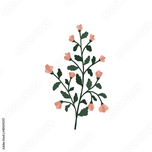 Abstract pink wildflower isolated on white background. Wild flower floral botanical plant. Meadow and field herb. Delicate spring flower illustration in hand drawn flat style