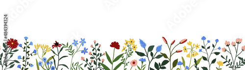 Wildflowers seamless border. Botanical spring summer flowers banner for decoration. Garden floral greenery wild flowers card for wedding invitation. Nature wild herbs design card template illustration