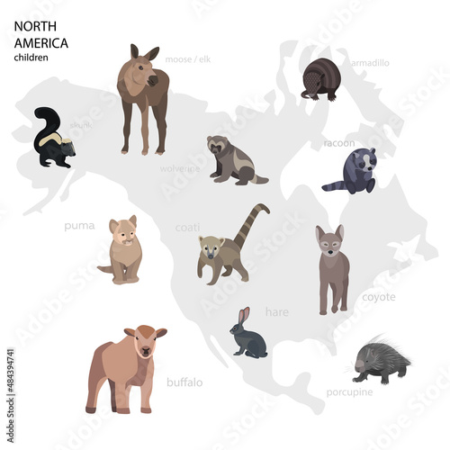 North American Wild Animals