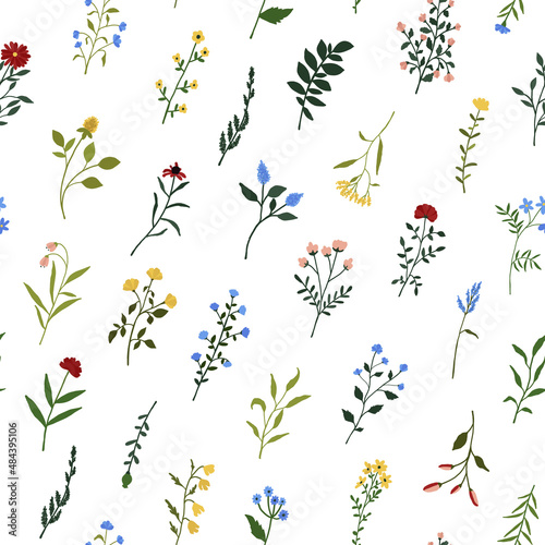 Seamless pattern with wildflowers. Wild flowers floral botanical print. Meadow and field herbs textile. Delicate summer flowers print for bed linens, fabric, textile, wrapping paper