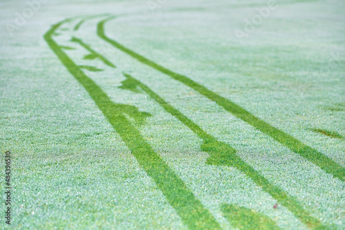 Footprints and tracks of a cart on a golf course in winter with fog and frost. A golfer with a cart leaves his tracks by stepping on the frost covered grass.