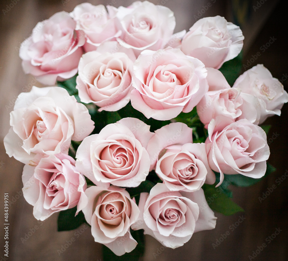 flower wall. background of flowers. large buds of pink roses in an expensive bouquet. close-up of a bouquet of huge pink roses on a light background flower wall. background of flowers. large buds of pink roses in an expensive bouquet. close-up of a bouquet of huge pink roses on a light background
