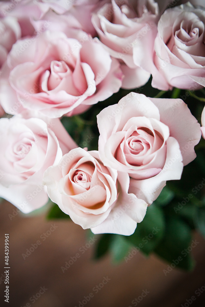 flower wall. background of flowers. large buds of pink roses in an expensive bouquet. close-up of a bouquet of huge pink roses on a light background flower wall. background of flowers. large buds of pink roses in an expensive bouquet. close-up of a bouquet of huge pink roses on a light background