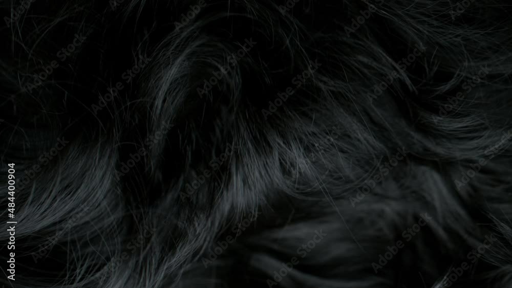 Super Slow Motion Shot of Waving Black Hair at 1000 fps.