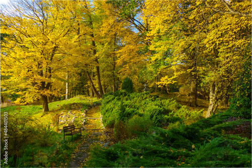 Path and bench in autumn park