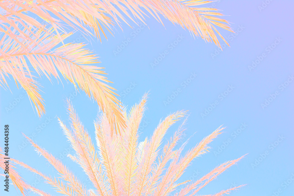 Hojas de palmeras de colores pastel sobre fondo de color azul, abstracto