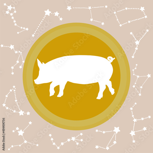 White silhouette pig shape on brown circle with 12 white constellations in the zodiac family isolated on gold or dark yellow background.  Flat design for Chinese animal zodiac. 