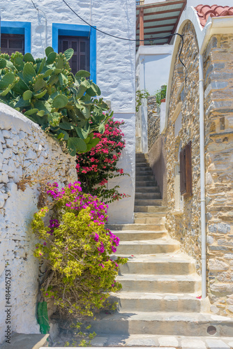 Traditional cycladitic   alley with narrow street, traditional houses and a blooming bougainvillea, in ano Syros Greece photo