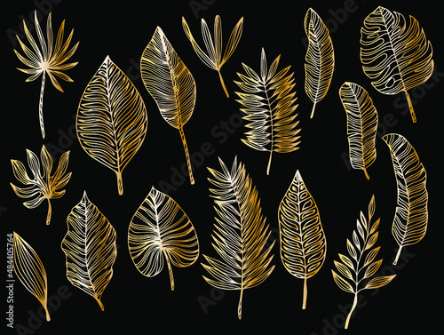 Golden Tropical Leaves Set. Black luxury line collection. Vector.