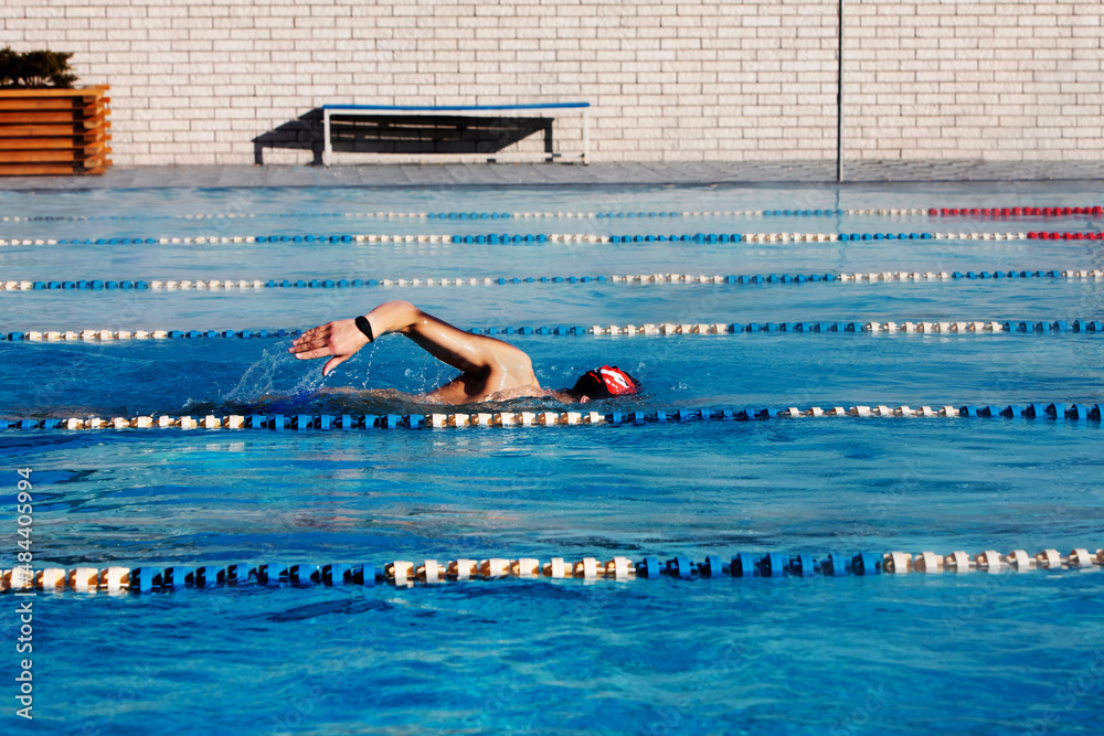 custom made wallpaper toronto digitalProfessional male swimmer swimming in the pool