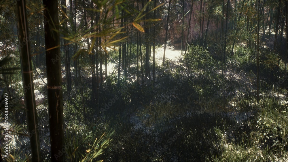 Tropical palm trees in a sunny jungle and a pond on a summer morning. Rays of light in green rainforest. 3D Rendering