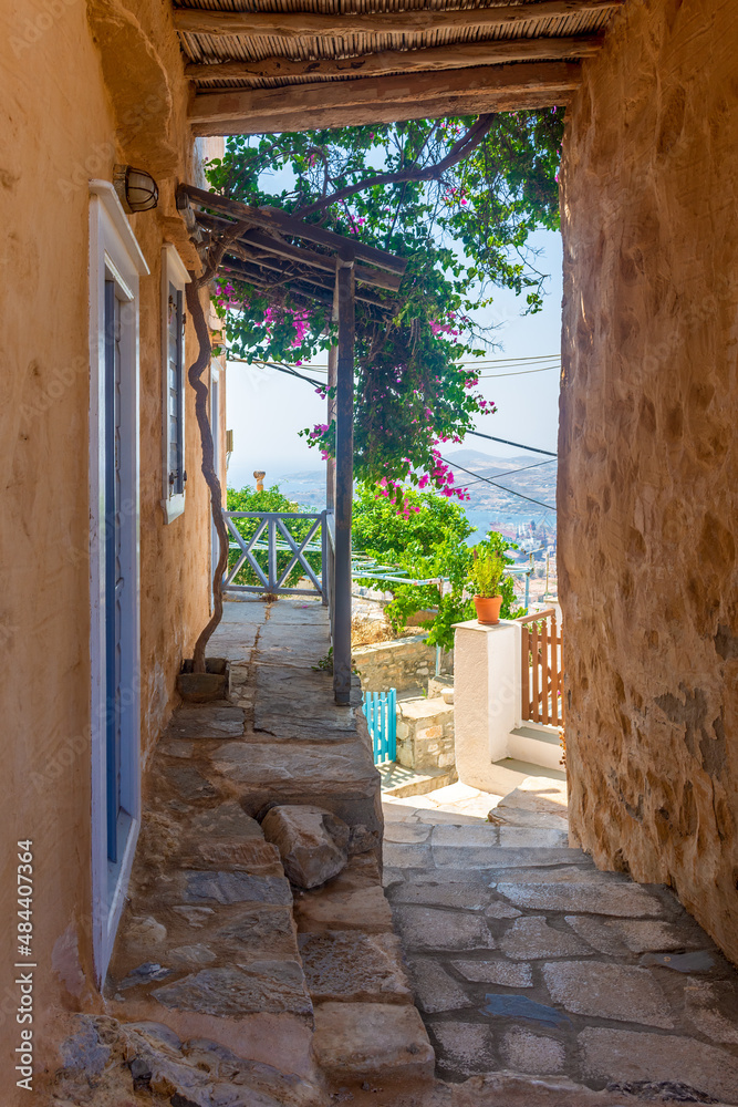Obraz premium Traditional cycladitic alley with narrow street, typical houses and a blooming bougainvillea, in ano Syros Greece 