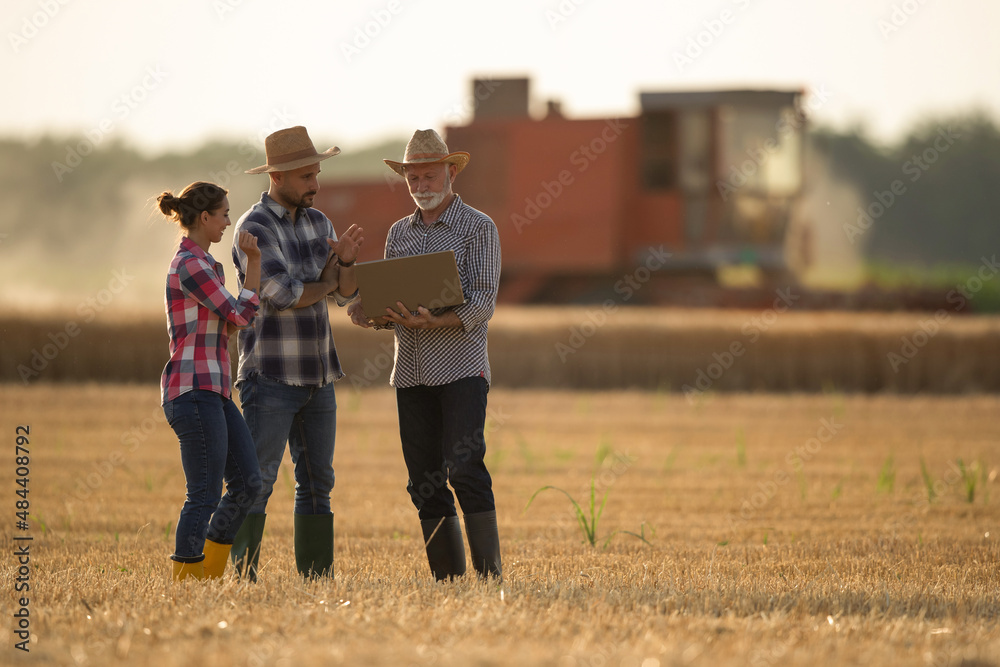Three farmers with laptop talking in field during harvest - obrazy, fototapety, plakaty 
