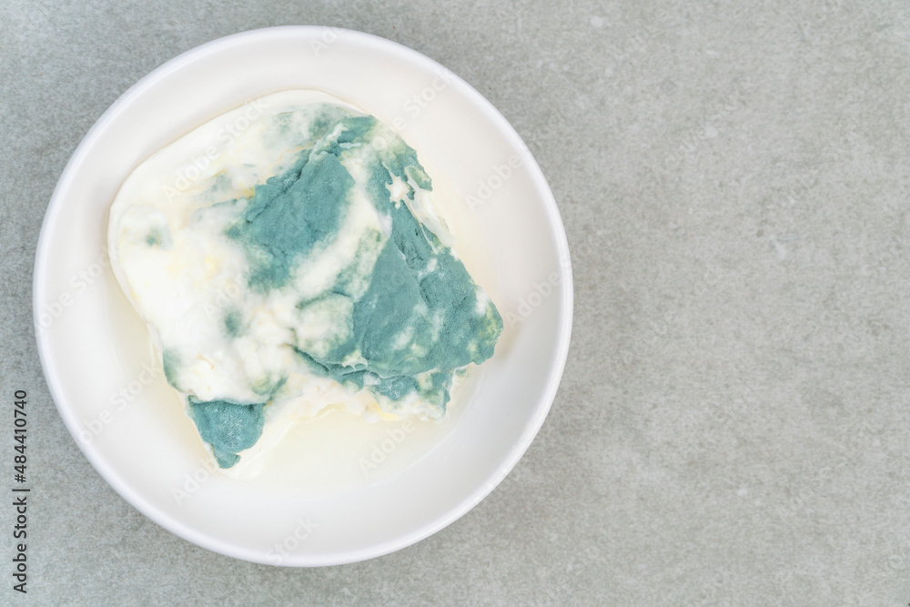 top view mold covered yogurt on a plate top view mold covered yogurt on a plate