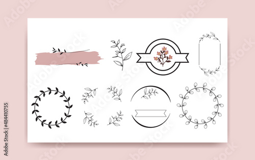 Flower branch. Hand drawn wedding herb, elegant leaf ornamental plant for invitation save date card design. botanical countryside
