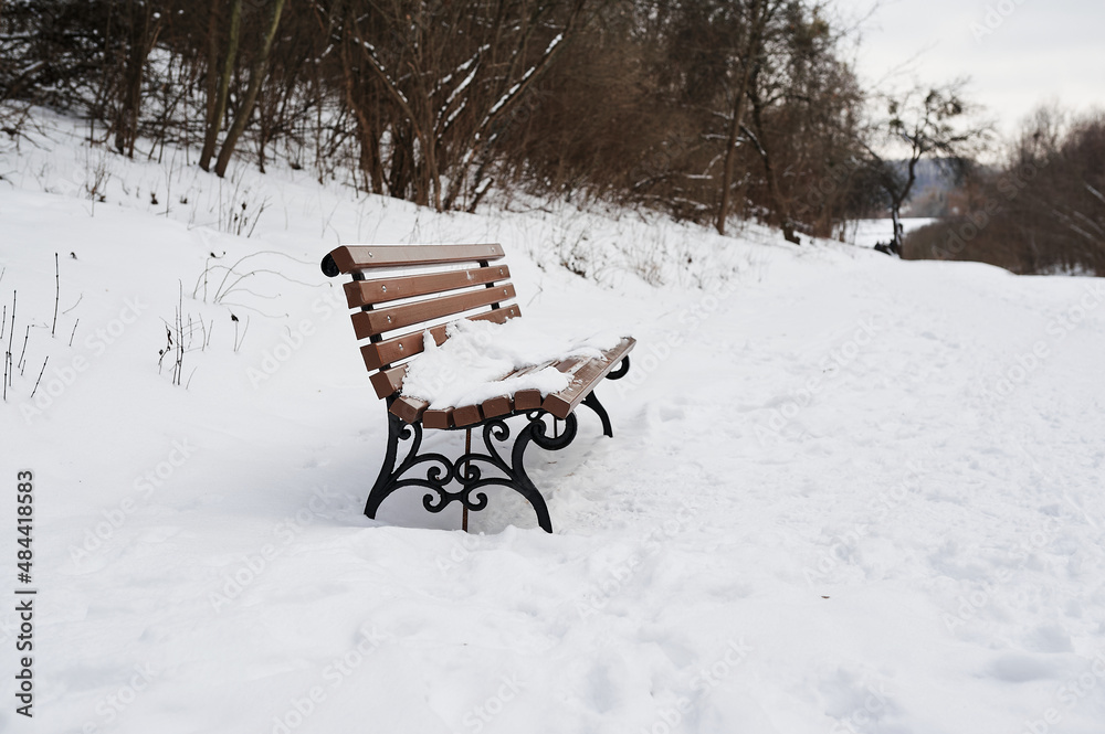 Snow-covered bench in the forest in winter