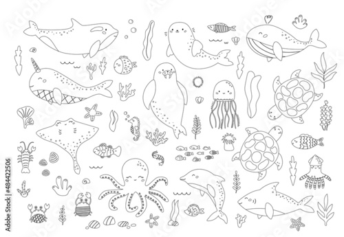 Vector set of sea animals and plants. Black and white outline underwater fishes, seaweeds, corals, arctic animals. Coloring page or book for children.