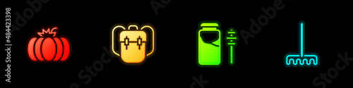 Set Pumpkin, School backpack, Jar of honey and dipper stick and Garden rake icon. Vector