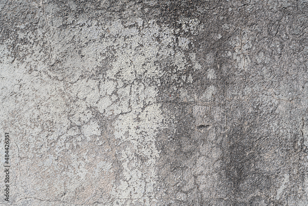 texture background in the form of an old shabby wall texture background in the form of an old shabby wall