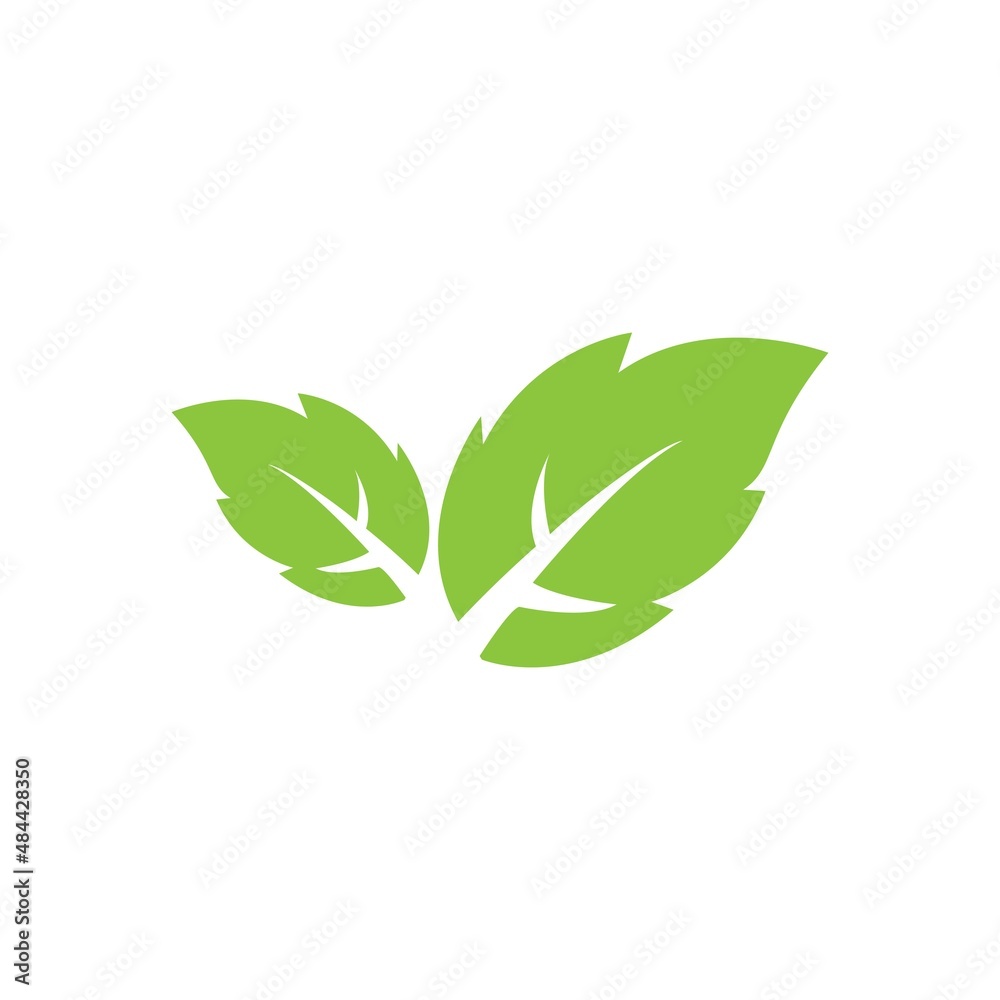 Obraz premium leaf logo icon vector design template