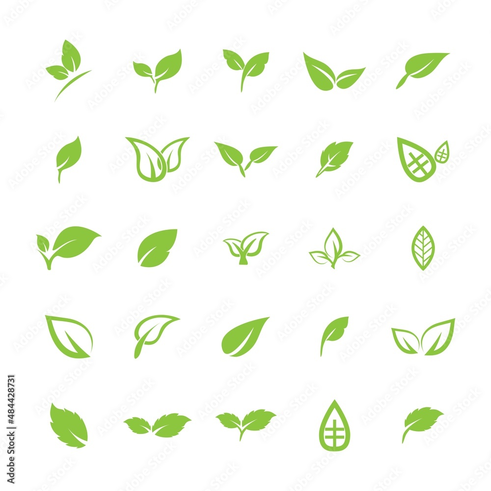 leaf logo icon vector design template leaf logo icon vector design template